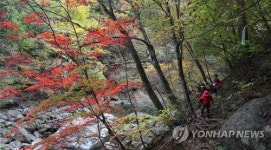 칠선계곡 물들인 가을단풍