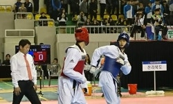 [전국체전 태권도] 이대훈, 남자 68㎏급 2년 연속 금메달(종합)
