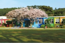 무지개색 제주 더럭분교, 본교 승격 추진…학생수 급증