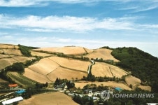 정선아리랑 들으며 올림픽 아리바우길 걷는다