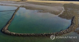 이것이 전통방식으로 물고기 잡는 독살