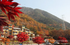 [주말 N 여행] 충청권: 피톤치드 내뿜는 옥천 장령산 단풍길…뼛속까지 힐링