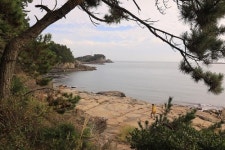 [길따라 멋따라] 이리 닮았다는 여수 낭도(狼島), 사람들 마음씨는 양 같은…