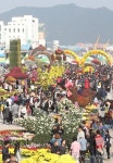 마산가고파 국화 축제 북적북적