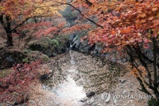 치악산 구룡사 계곡의 가을