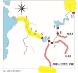 거제 남방동사리 공사로 사라질 위기…보존대책 세워야