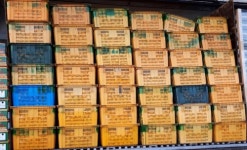 제주자치경찰, 불량 감귤 반출하려던 유통업체 2곳 적발