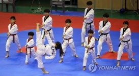 태권도의 날 선 발차기