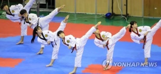 품격있는 태권도 시범