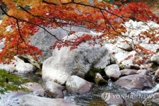 지리산 피아골의 단풍