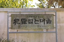 [길따라 멋따라] 상처받은 사랑 보듬던 '꽃섬'…하화도 길마다 야생화