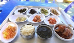 [길따라 멋따라] 상처받은 사랑 보듬던 꽃섬…하화도 길마다 야생화