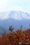 단풍과 눈