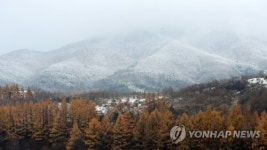 달력 그림 같은 대관령의 풍경