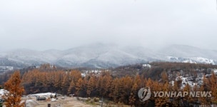 달력 그림 같은 대관령의 풍경