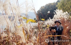 대청호 오백리길의 늦가을
