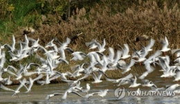활기찬 늦가을의 바닷가