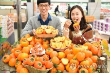 농협유통, 대봉시 판매 실시