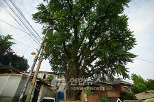 [가을엔 한양도성] 시간도 멈춘 성곽마을…도시재생으로 날갯짓