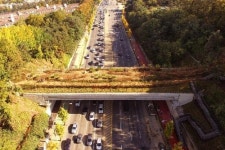 매봉역∼구룡산 녹음을 걷는다…양재대로 녹지연결로 개통