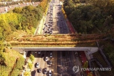 매봉역∼구룡산 녹음을 걷는다…양재대로 녹지연결로 개통