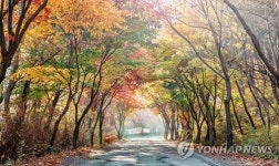 붉게 물든 서산 아라메길 용현계곡