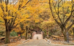 오색단풍으로 수놓은 서산 용현계곡