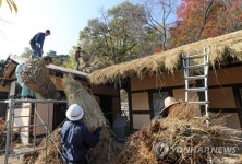 초가지붕 올리는 선교장의 가을