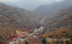 막바지 절정 이룬 내장산 단풍