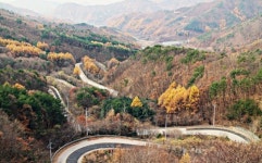[카메라뉴스] 가을 끝자락…스물네 구비 영동 도마령의 단풍