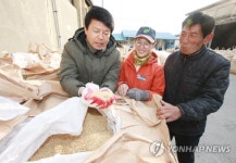공공비축미 매입현장 찾은 부안군수