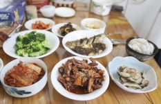 [길따라 멋따라] 조선 시대 섬에 유배된 코끼리 찾아가는 기행 보성 장도