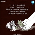 [카드뉴스] 죽음을 미리 준비한다면…당신 삶이 달라질수도