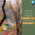 [카드뉴스] 배려가 숨어있는 산책…곤지암 화담숲 여행