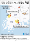 전남 순천만 철새 분변도 고병원성 AI 바이러스 확진