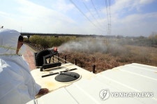 영산강변 AI 방역