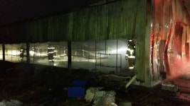 평택 농장 화재로 식용 귀뚜라미 2억 마리 소사