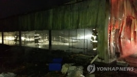 평택 귀뚜라미 농장 화재로 2억 마리 소사