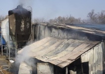 청주 돼지 축사서 화재…돼지 100마리 죽어