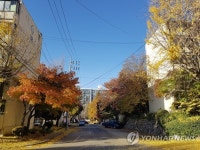 개포주공4단지의 가을 풍경