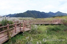 사람과 자연 만나는 천 리 여행…원주굽이길 열렸다