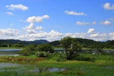 서천군 봉선저수지 사진공모전 금상 새들의 고향