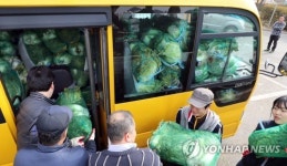 사랑의 배추 가득