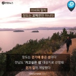[카드뉴스] 조선 시대 섬에 유배된 코끼리…보성 장도 기행