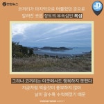 [카드뉴스] 조선 시대 섬에 유배된 코끼리…보성 장도 기행