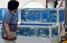 산낙지 먹고 싶어서…식당 수족관 깨고 해산물 훔친 60대
