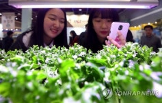 대세는 스마트 농장