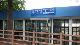 창업 준비한다면 이곳으로…부산창업카페 교육과정 활발