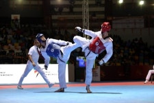 한국 태권도, 남녀 모두 월드팀선수권 본선 진출