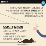 [카드뉴스] 운전하기 전에 자동차 보닛 노크하는 이유는